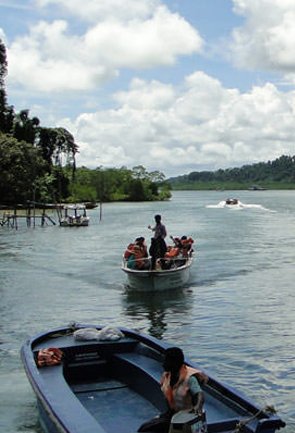 Mangrove Creek Safari Andaman