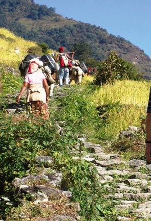 Trekking in Andaman Nicobar